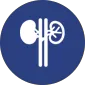 urology department icon