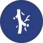 vascular department icon